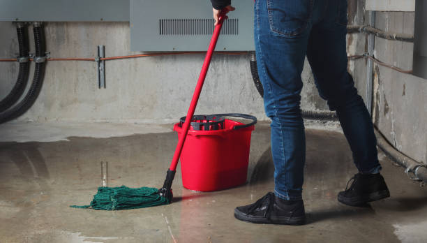 Best Flood damage cleanup  in Tilton Northfield, NH