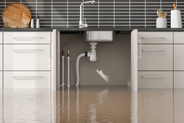 Best Water damage restoration near me  in Tilton Northfield, NH