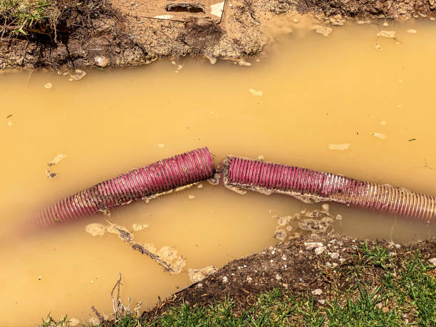 Best Water damage restoration near me  in Tilton Northfield, NH